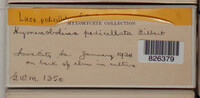 Image Associated With the Occurence